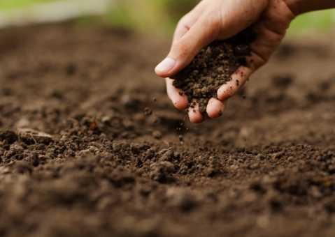 土壌改良材、肥料、農薬、芝生等の緑化資材の販売