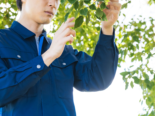 緑の現場を知るプロが散布